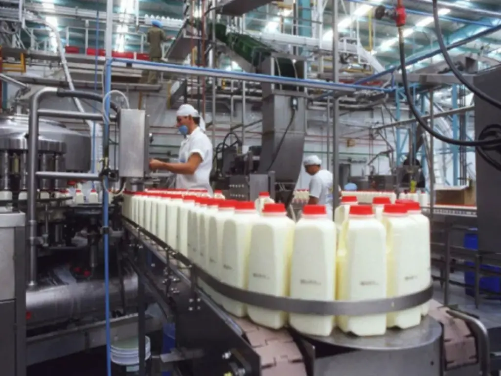 SE NECESITA URGENTE 53 EMPACADORES DE YOGURT|| URGENTE