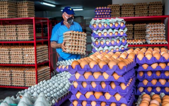 CONVOCATORIA MASIVA PARA TRABAJAR EMPACANDO HUEVOS |
